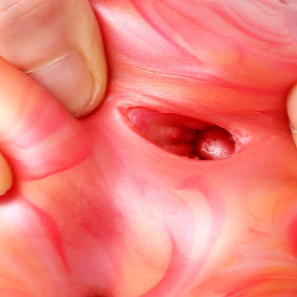 FAAK - Pussy Masturbator - Bloodsucker photo-5