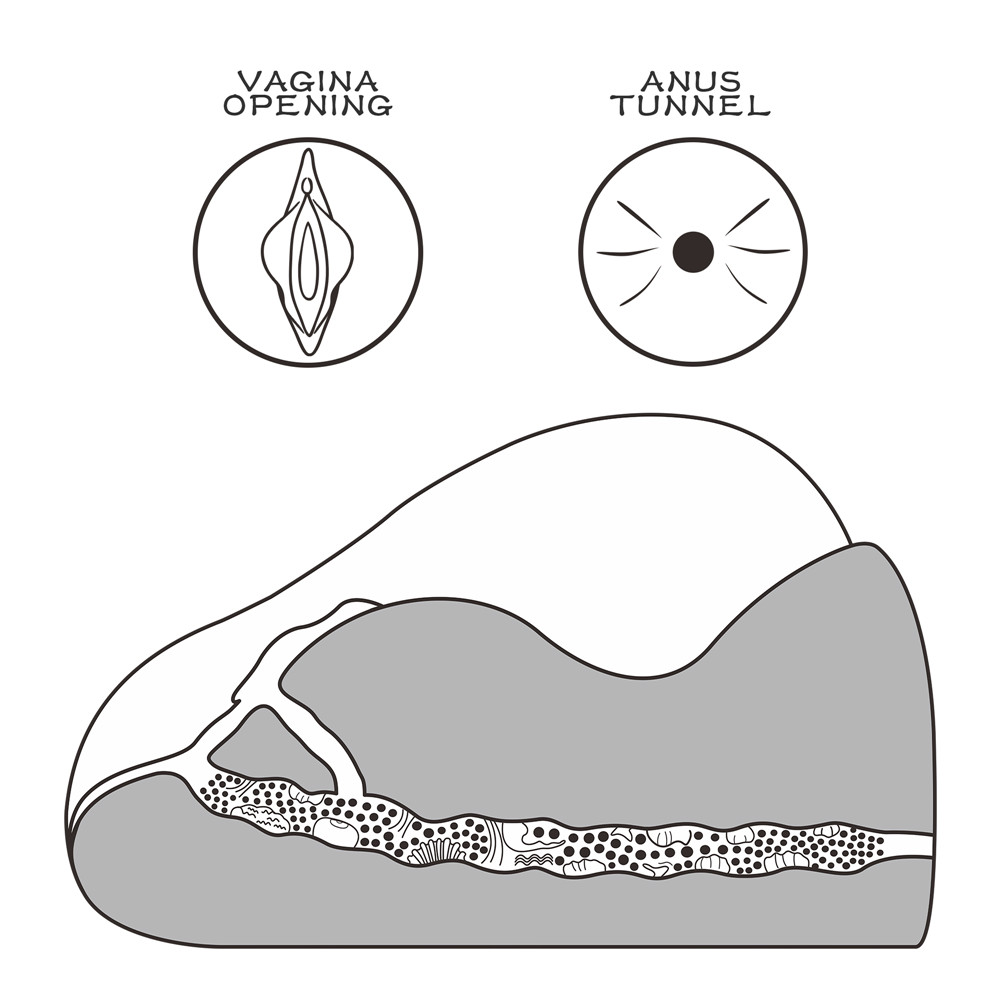 Lovetoy - Streetgirl's #2 Masturbator - Flesh photo-8