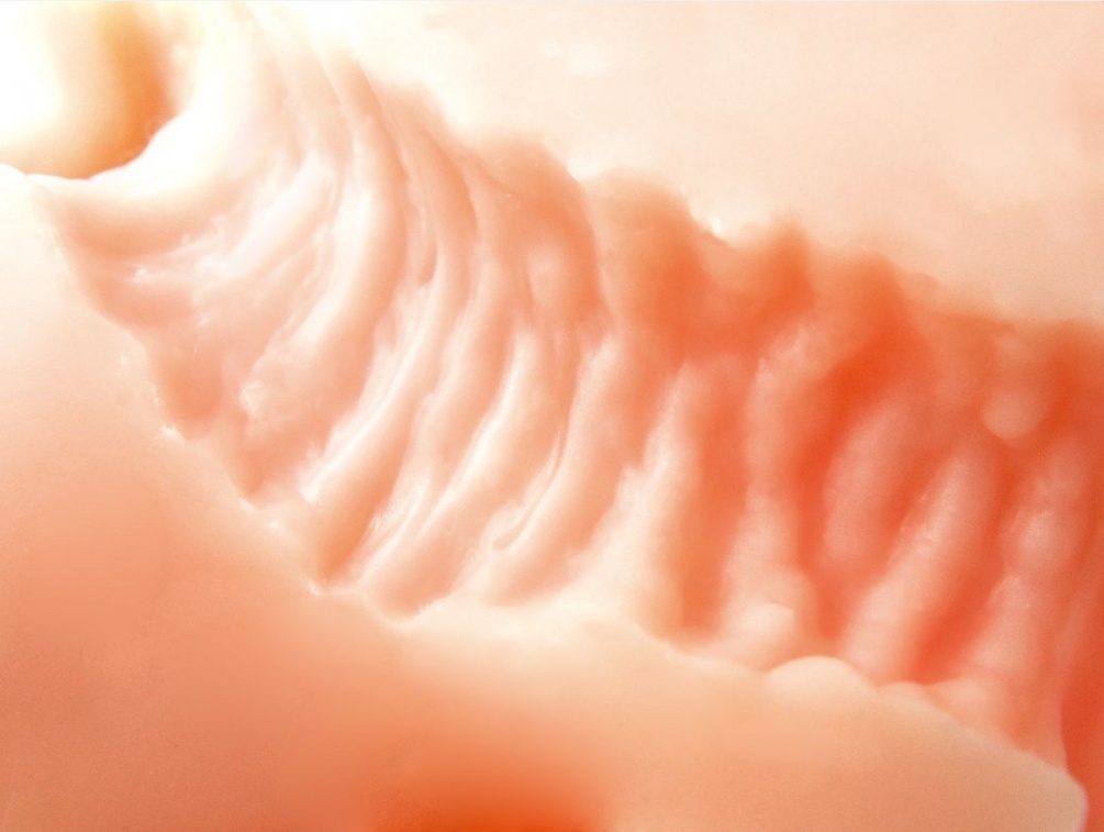 ToysHeart - G-19 Secret Uterus - Masturbator photo-2