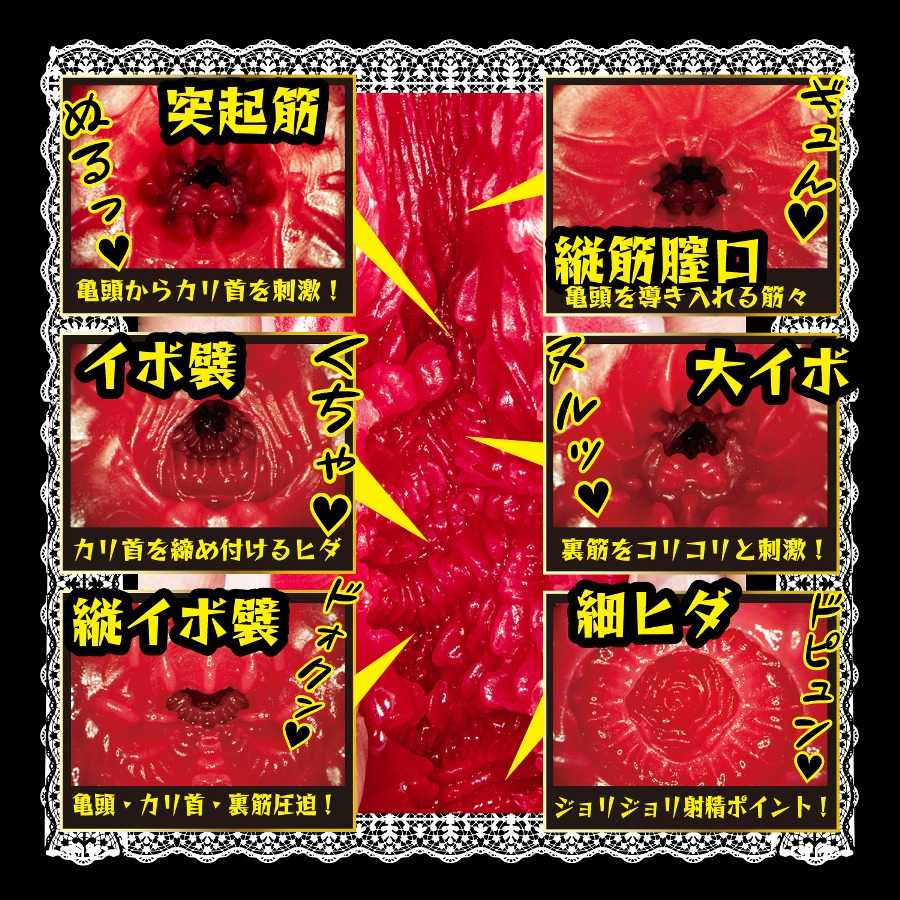 NPG - Immediate Service Maid Eimi Fukada Masturbator photo-2