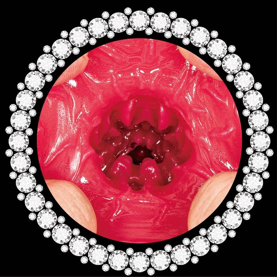 NPG - Immediate Service Maid Eimi Fukada Masturbator photo-6