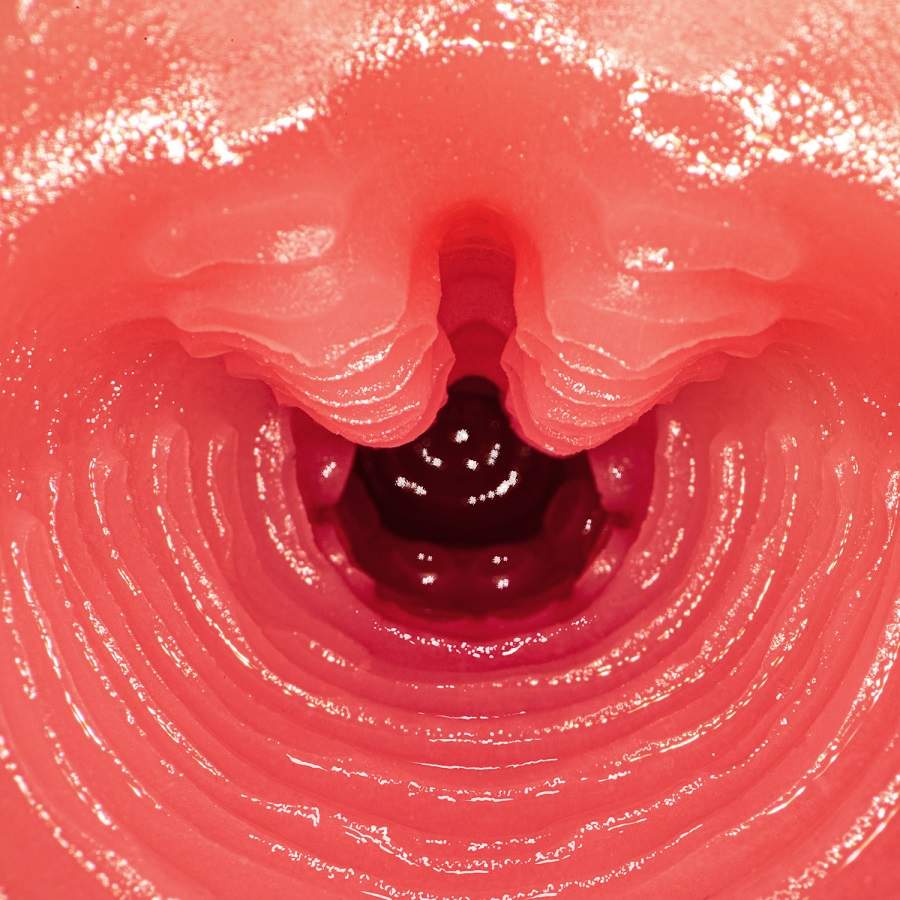 NPG - Mai Tsubasa AV Mini Masturbator photo-9