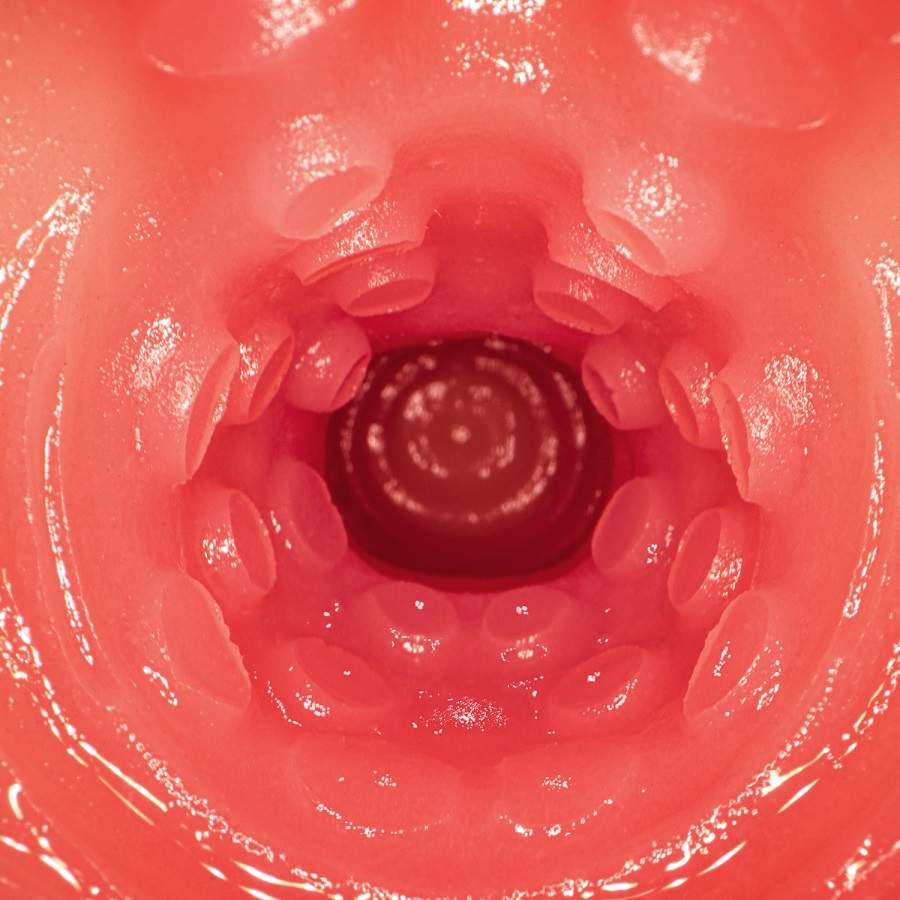 NPG - Mai Tsubasa AV Mini Masturbator photo-10