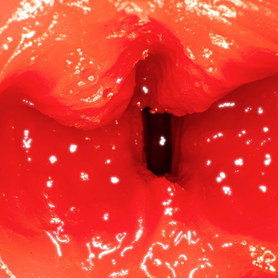 NPG - Mia Nanasawa Cat Ear Blow Masturbator photo-10