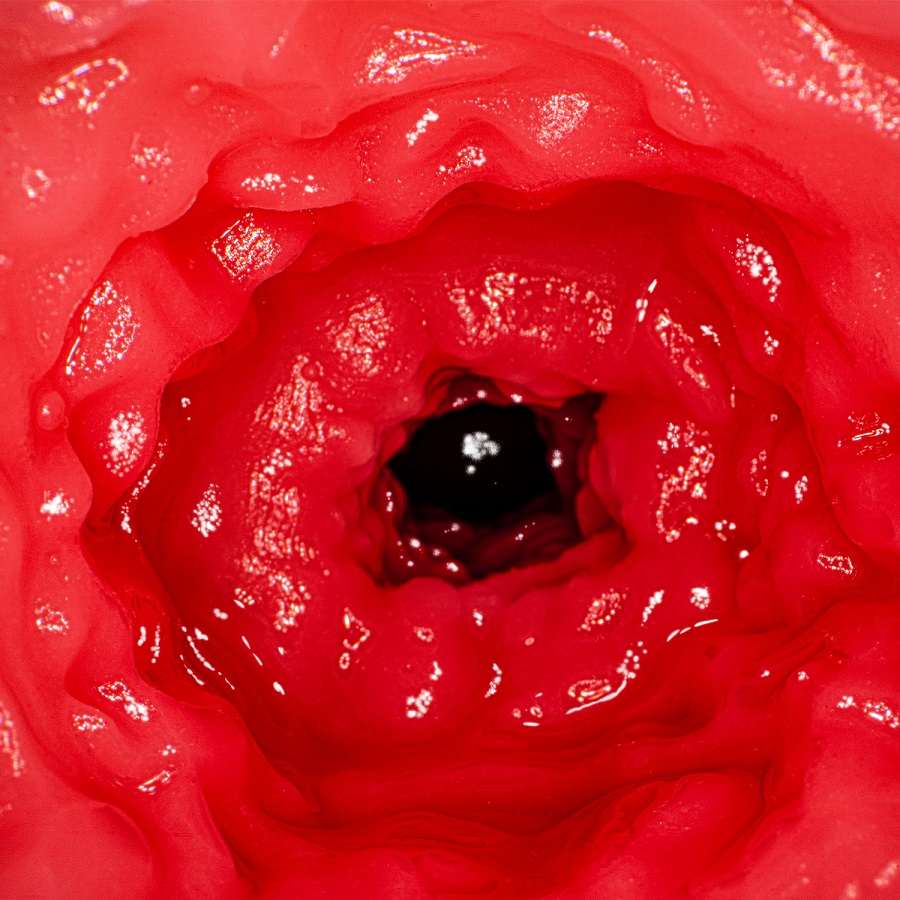 NPG - Rima Arai AV Mini Masturbator photo-4