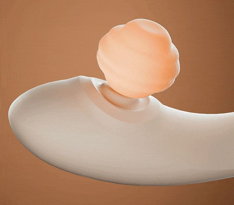 Zalo - Talis G-Spot PulseWave Vibrator - Ivory White photo-10